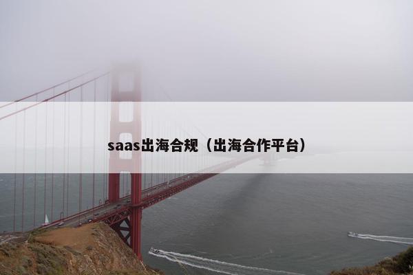 saas出海合规（出海合作平台）