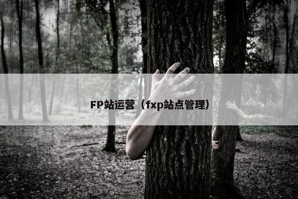 FP站运营（fxp站点管理）
