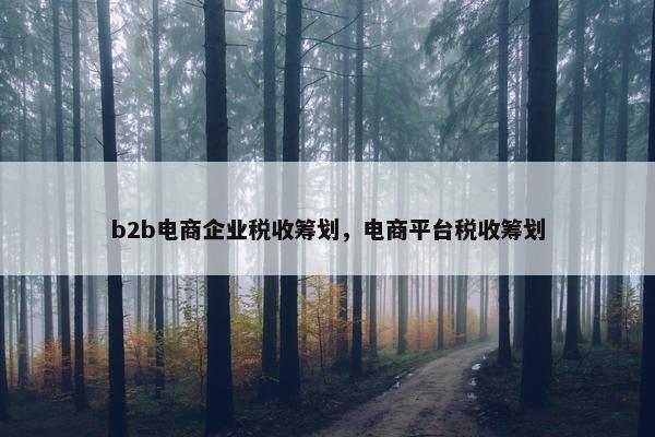 b2b电商企业税收筹划，电商平台税收筹划