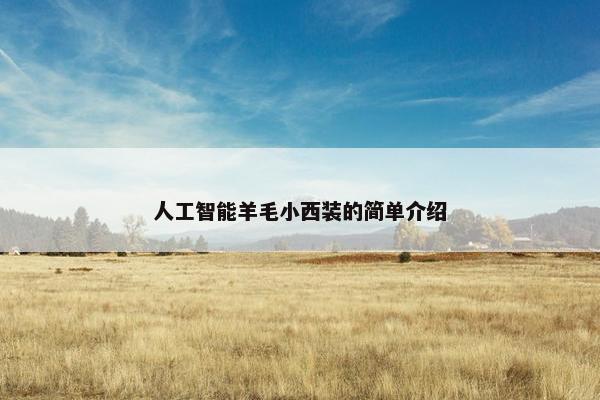 人工智能羊毛小西装的简单介绍