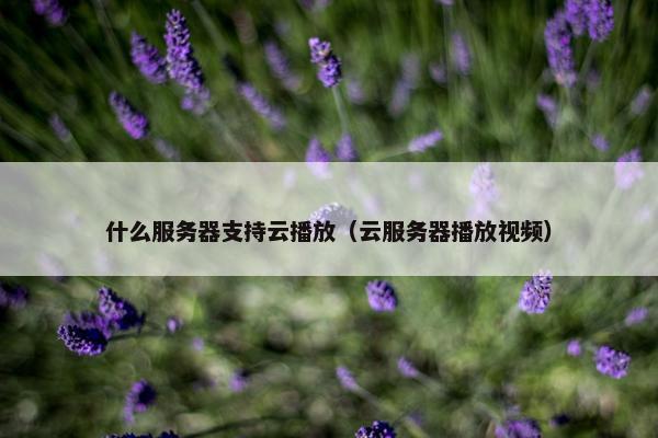 什么服务器支持云播放（云服务器播放视频）
