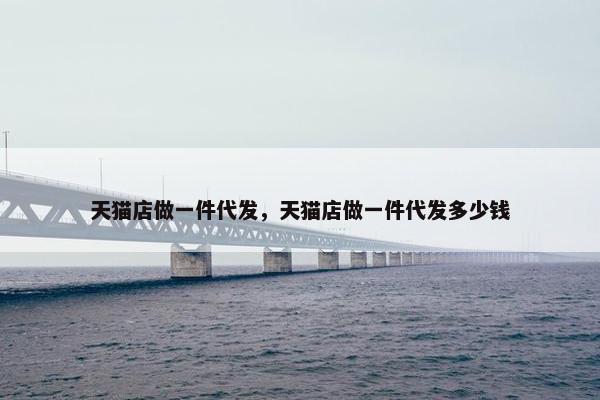 天猫店做一件代发，天猫店做一件代发多少钱