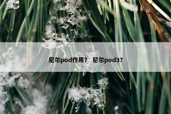 尼尔pod作用？ 尼尔pod3？