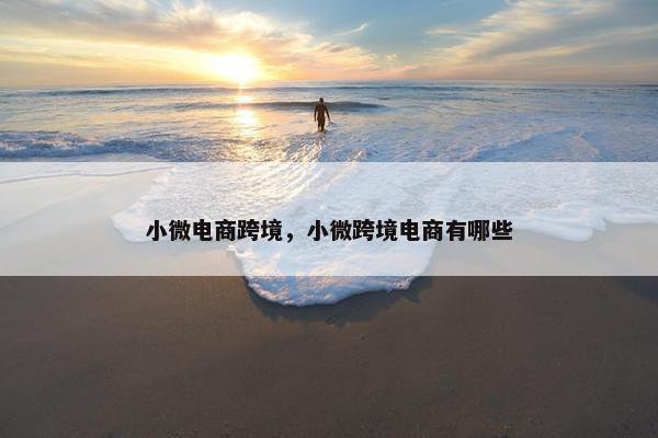 小微电商跨境，小微跨境电商有哪些