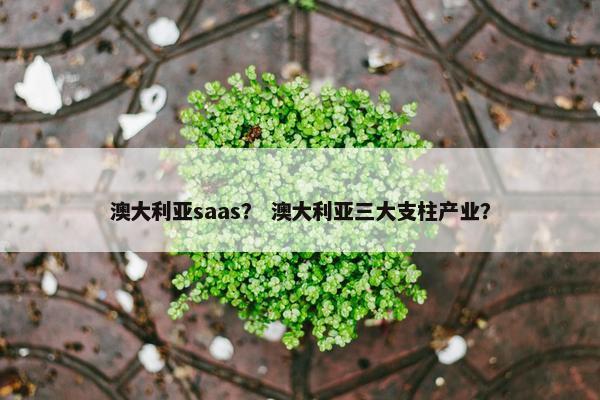 澳大利亚saas？ 澳大利亚三大支柱产业？