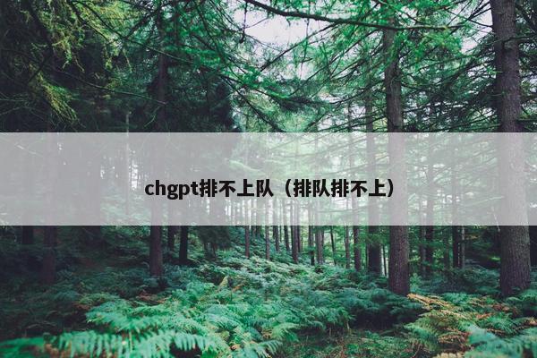 chgpt排不上队（排队排不上）