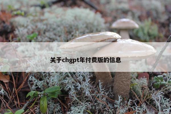 关于chgpt年付费版的信息