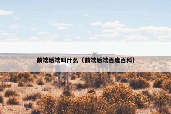 前端后端叫什么（前端后端百度百科）