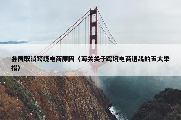 各国取消跨境电商原因（海关关于跨境电商退出的五大举措）