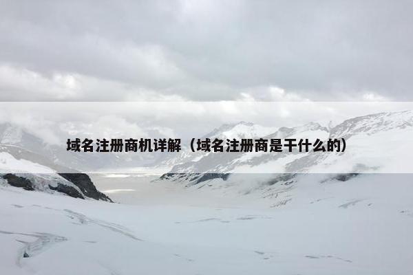 域名注册商机详解（域名注册商是干什么的）