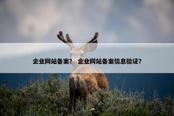 企业网站备案？ 企业网站备案信息验证？