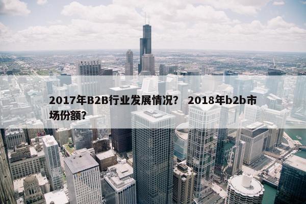 2017年B2B行业发展情况？ 2018年b2b市场份额？