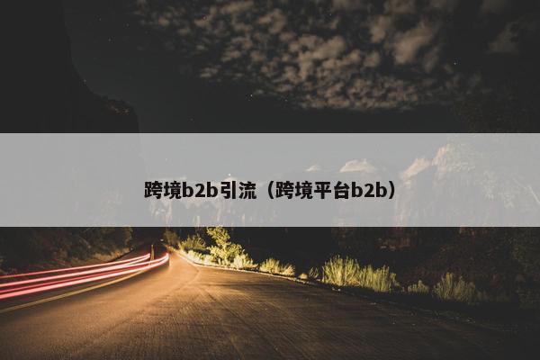 跨境b2b引流（跨境平台b2b）