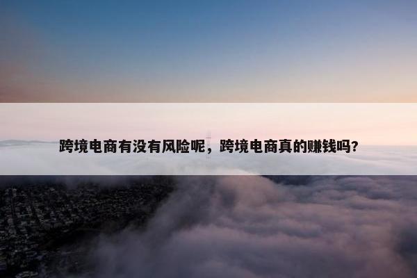 跨境电商有没有风险呢，跨境电商真的赚钱吗?