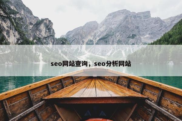 seo网站查询，seo分析网站