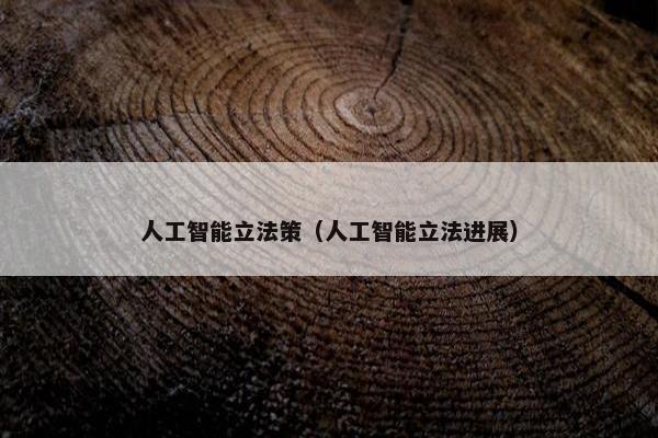人工智能立法策（人工智能立法进展）