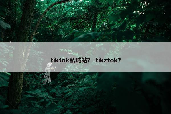 tiktok私域站？ tikztok？