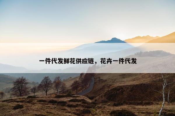 一件代发鲜花供应链，花卉一件代发