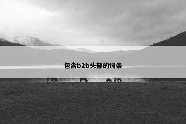 包含b2b头部的词条