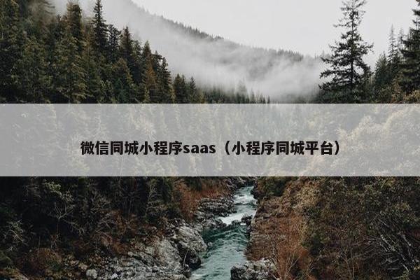 微信同城小程序saas（小程序同城平台）