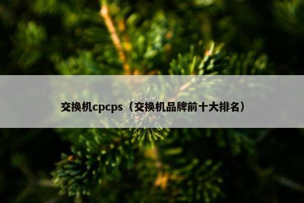 交换机cpcps（交换机品牌前十大排名）