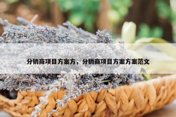 分销商项目方案方，分销商项目方案方案范文