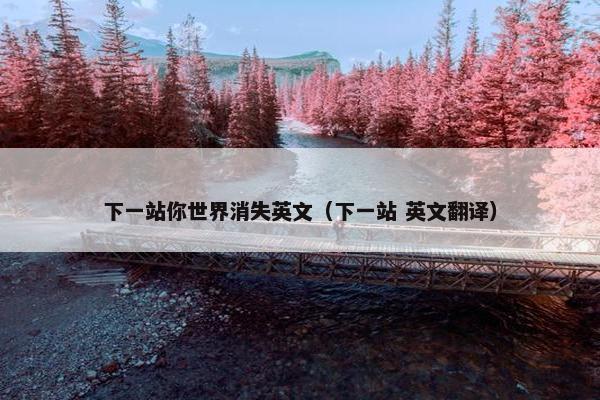 下一站你世界消失英文（下一站 英文翻译）