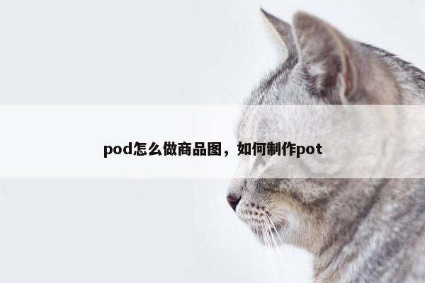 pod怎么做商品图，如何制作pot