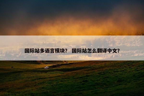 国际站多语言模块？ 国际站怎么翻译中文？