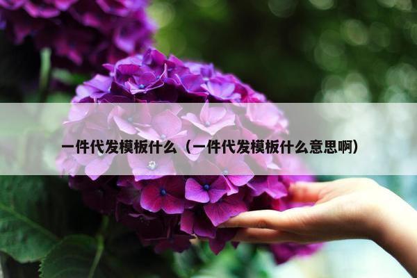 一件代发模板什么（一件代发模板什么意思啊）