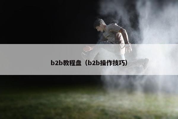 b2b教程盘（b2b操作技巧）