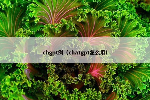 chgpt例（chatgpt怎么用）