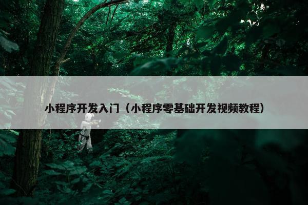 小程序开发入门（小程序零基础开发视频教程）