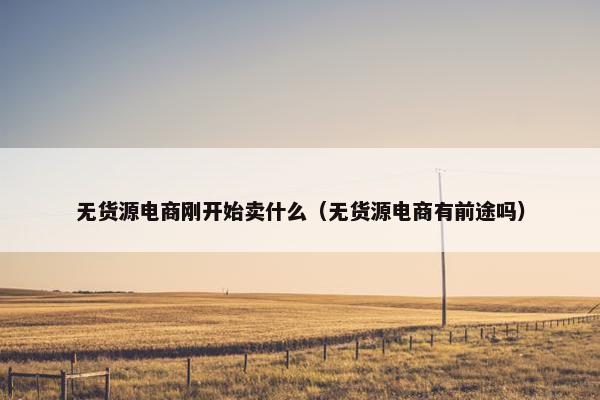 无货源电商刚开始卖什么（无货源电商有前途吗）
