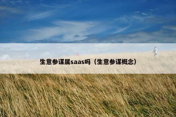 生意参谋属saas吗（生意参谋概念）