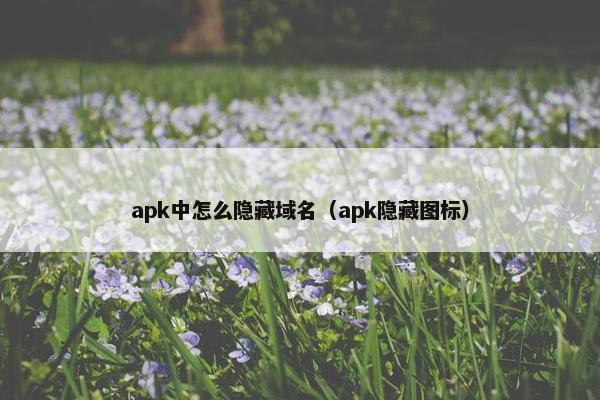 apk中怎么隐藏域名（apk隐藏图标）
