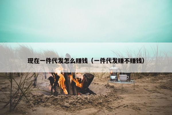 现在一件代发怎么赚钱（一件代发赚不赚钱）