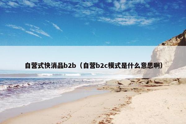 自营式快消品b2b（自营b2c模式是什么意思啊）