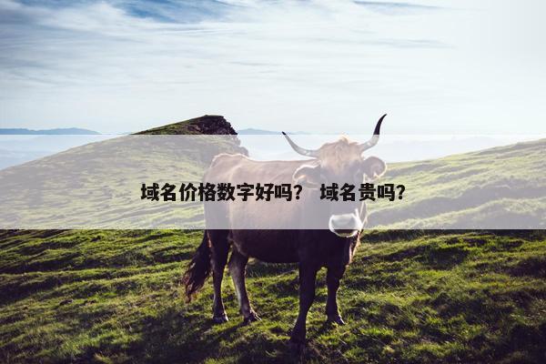 域名价格数字好吗？ 域名贵吗？
