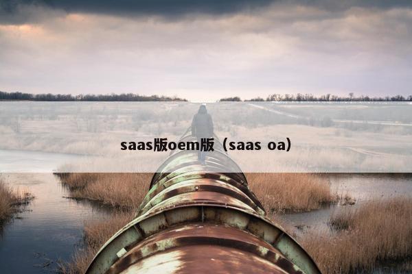 saas版oem版（saas oa）