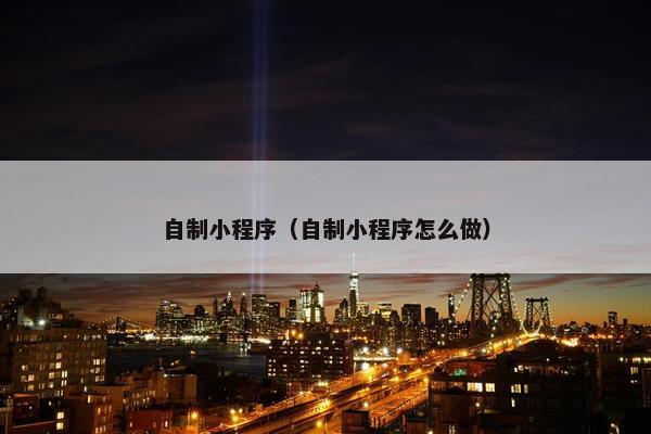 自制小程序（自制小程序怎么做）