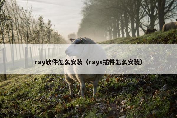 ray软件怎么安装（rays插件怎么安装）