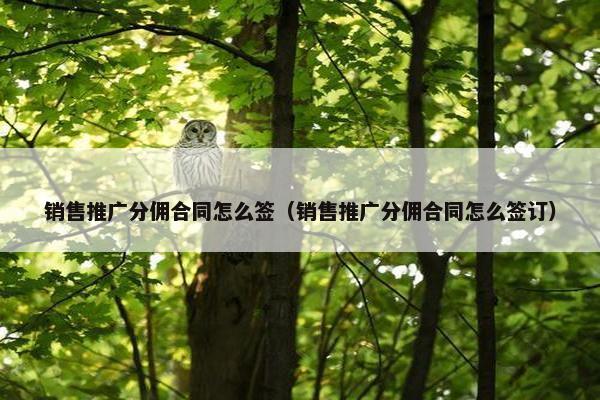 销售推广分佣合同怎么签（销售推广分佣合同怎么签订）