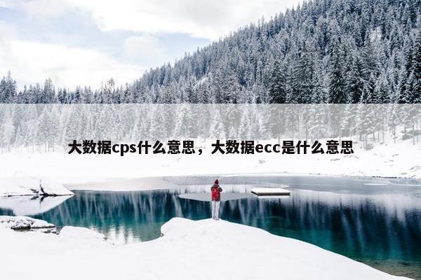 大数据cps什么意思，大数据ecc是什么意思
