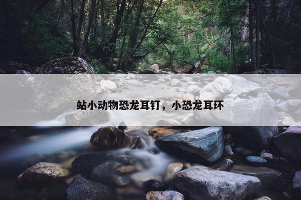 站小动物恐龙耳钉，小恐龙耳环