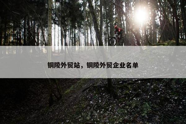 铜陵外贸站，铜陵外贸企业名单