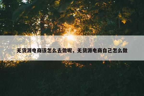 无货源电商该怎么去做呢，无货源电商自己怎么做