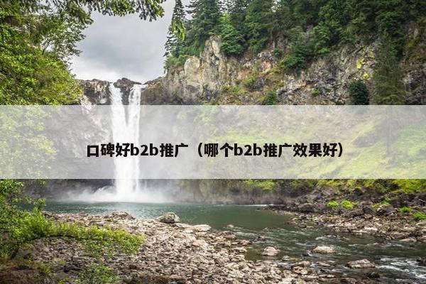 口碑好b2b推广（哪个b2b推广效果好）