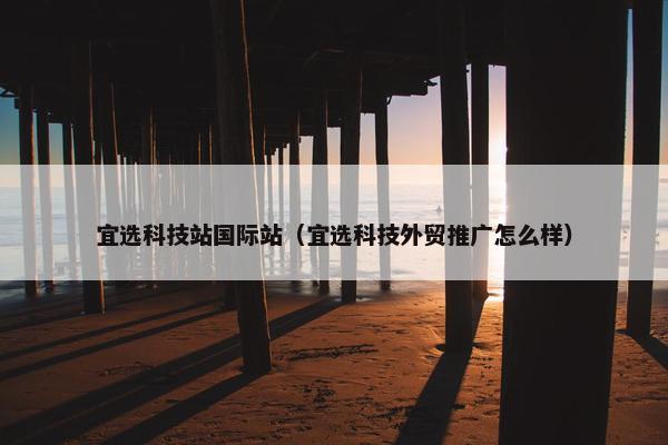 宜选科技站国际站（宜选科技外贸推广怎么样）