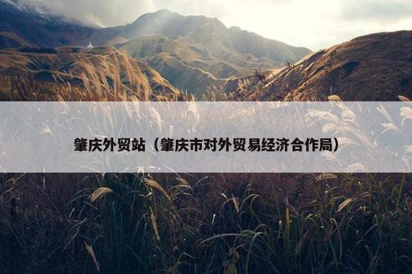 肇庆外贸站（肇庆市对外贸易经济合作局）